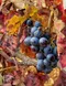 german wine making, muller thurgau, coquitlam, port moody, new westminster, burnaby
