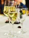 italian, wine kit, wine supplies, world vineyard wine